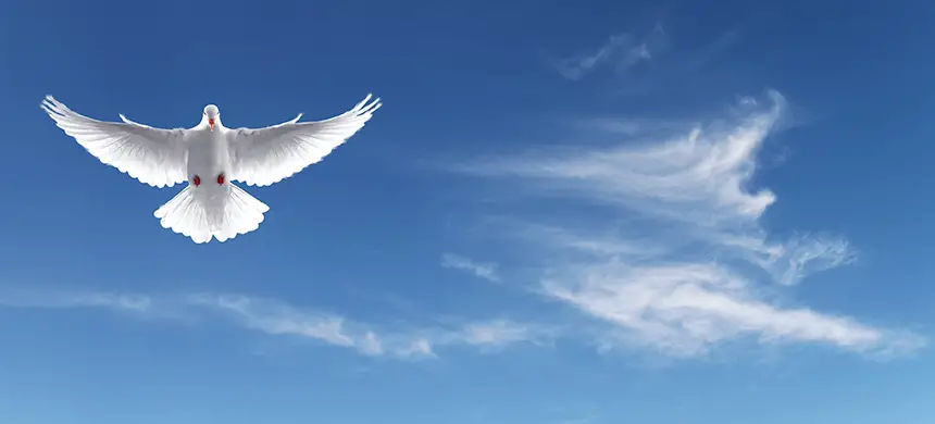 ¿Cómo se manifiesta el Espíritu Santo en la vida de las personas?
